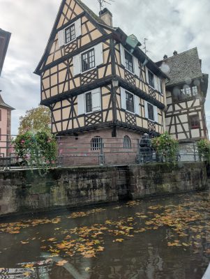 PXL_20251027_110241172.MP-min